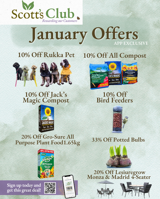 Kickstart Your New Year with Scott’s Club January Offers!