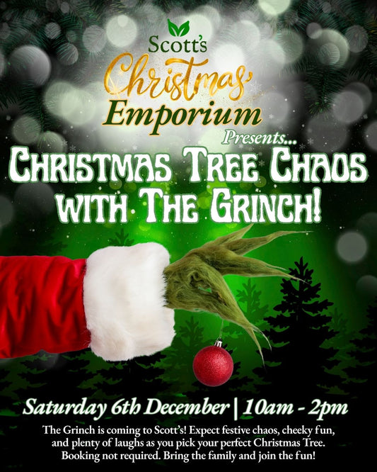 The Grinch is coming to Scott’s!