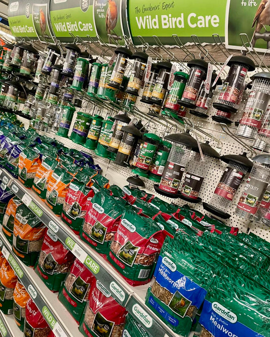 Our garden birds need a little extra attention in the cold weather