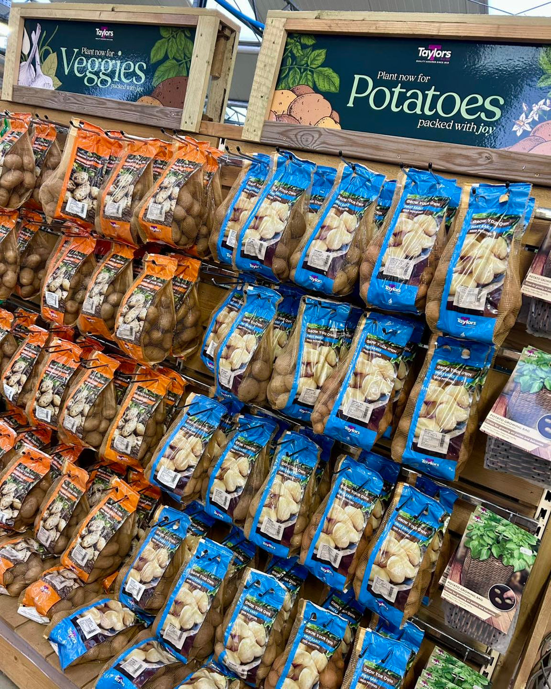 Taylors seed potatoes in stock now