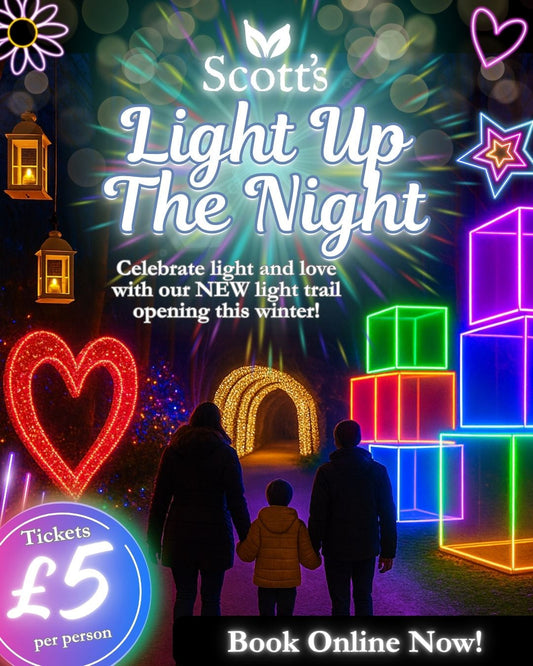 Scott's Light Up The Night