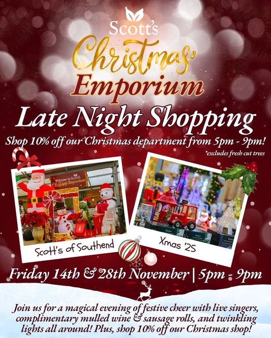 Late Night Christmas Shopping at Scott’s of Southend